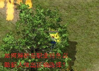 如何解析各职业特色以助新人做出正确选择? 如何解析各职业特色以助新人做出正确选择?