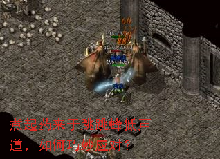 ����ҩ������������������������Ӧ�ԣ�