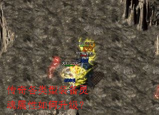 ���������װ������������������