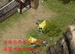 ���������װ������������������