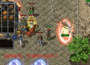 ��ʦ��ǿ��������޵���