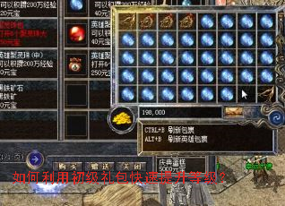 如何利用初级礼包快速提升等级? 如何利用初级礼包快速提升等级?