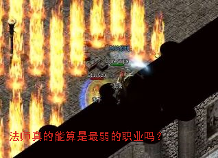 ��ʦ���������������ְҵ��