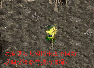 �����ϰʱ��θ��ݲ�ͬ�׶ε��������뼼��ѡ��