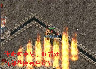 ����ѫ�³��˺ÿ�������Щ������;��