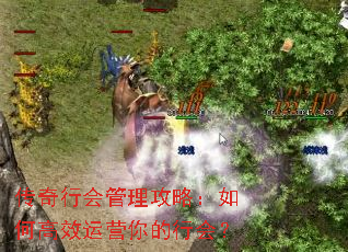 �����л�������ԣ���θ�Ч��Ӫ����л᣿