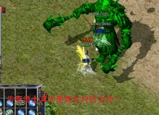 �����ʿ�����������ְҵ��