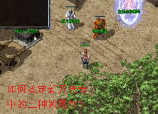 ��μ����¿������е����������ԣ�