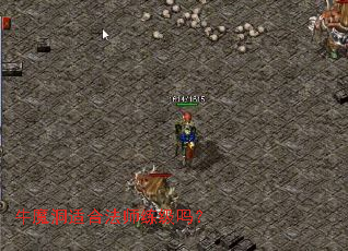 牛魔洞适合法师练级吗? 牛魔洞适合法师练级吗?