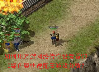 如何用万游网络传奇设置器V3.0绿色版快速配置游戏参数? 如何用万游网络传奇设置器V3.0绿色版快速配置游戏参数?