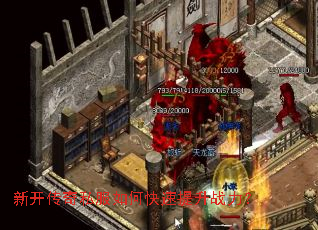 �¿�����˽����ο�������ս����