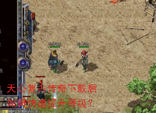 ���ĸ��Ŵ������غ���ο��������ȼ���