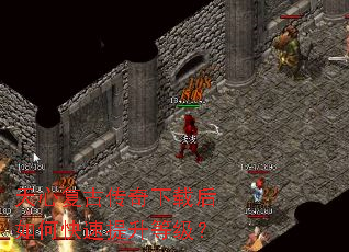 ���ĸ��Ŵ������غ���ο��������ȼ���