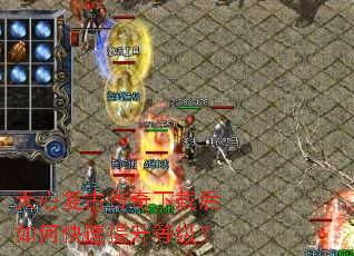 ���ĸ��Ŵ������غ���ο��������ȼ���