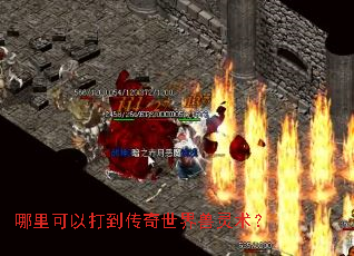 ������Դ򵽴���������������