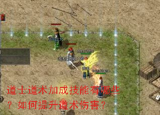 ��ʿ�����ӳɼ�������Щ��������������˺���