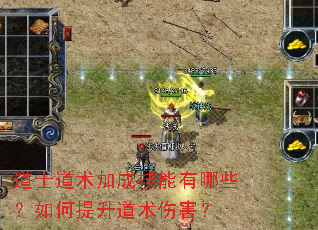 ��ʿ�����ӳɼ�������Щ��������������˺���