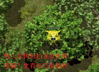 ɢ��������ɻ�ȡ�콵���أ����漼��ȫ����