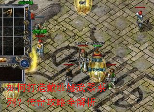 ��δ����ά������ϵ�У����湥��ȫ����