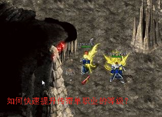 ��ο����������浥ְҵ�ĵȼ���