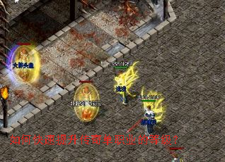 ��ο����������浥ְҵ�ĵȼ���