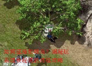 ����������õ���������ҳɳ��ؾ����ռ�����