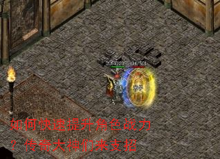 ��ο���������ɫս���������������֧��