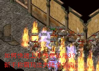 ��ο������ִ���˽��3�����ֳư��귨��½ȫָ��