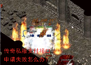 ����˽��֧���ӿ�����ʧ����ô�죿