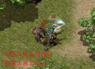 ����˽��֧���ӿ�����ʧ����ô�죿