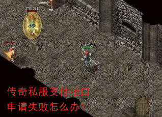 ����˽��֧���ӿ�����ʧ����ô�죿