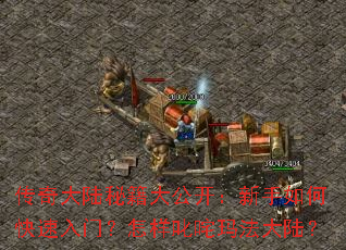 传奇大陆秘籍大公开:新手如何快速入门?怎样叱咤玛法大陆? 传奇大陆秘籍大公开:新手如何快速入门?怎样叱咤玛法大陆?