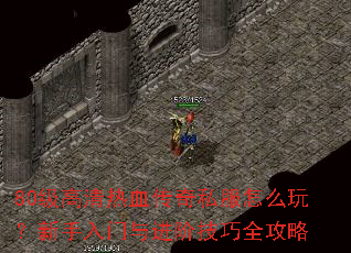 80��������Ѫ����˽����ô�棿������������׼���ȫ����