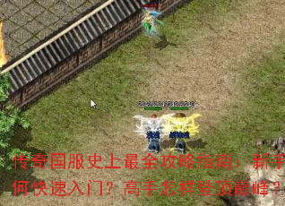 �������ʷ����ȫ����ָ�ϣ�������ο������ţ����������Ƕ��۷壿