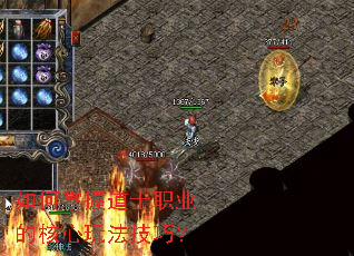 ������յ�ʿְҵ�ĺ����淨���ɣ�