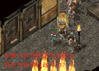 ���������䷨ʦ����������������Ϸս������