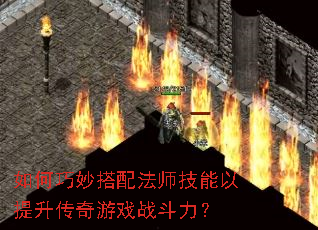 ���������䷨ʦ����������������Ϸս������