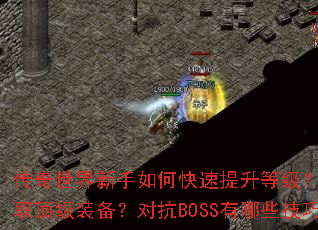 ��������������ο��������ȼ���������ȡ����װ�����Կ�BOSS����Щ���ɣ�