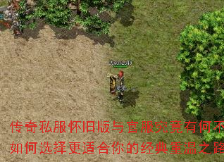 ����˽�����ɰ���ٷ������кβ�ͬ�����ѡ����ʺ���ľ�������֮·��