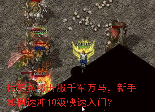 ����˽������ǧ����������������ٳ�10���������ţ�