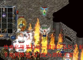 ����˽��������һ������ô�棿������ο������ų�Ϊ��Ϸ���ߣ�