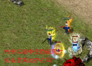 传奇私服中变隐藏属性装备是真的存在吗? 传奇私服中变隐藏属性装备是真的存在吗?