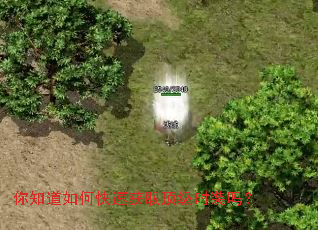 你知道如何快速获取顶级时装吗? 你知道如何快速获取顶级时装吗?