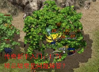 �����������ţ�1.76��Ʒ�泣��������