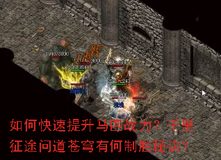 如何快速提升马匹战力?千里征途问道苍穹有何制胜秘诀? 如何快速提升马匹战力?千里征途问道苍穹有何制胜秘诀?