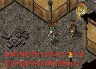 如何快速提升马匹战力?千里征途问道苍穹有何制胜秘诀? 如何快速提升马匹战力?千里征途问道苍穹有何制胜秘诀?