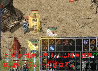 ��֪����ͨ��������˽������ЩBUG�������һҹ������