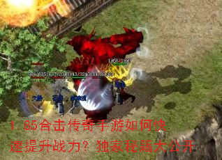 1.85�ϻ�����������ο�������ս���������ؼ��󹫿�