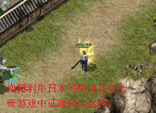 如何利用日本可脱身服在传奇游戏中征服绝世武林? 如何利用日本可脱身服在传奇游戏中征服绝世武林?