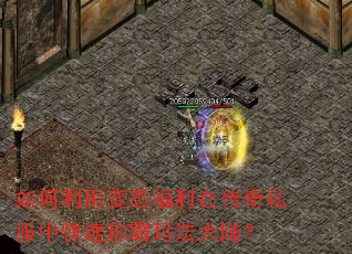 ������ñ�̬�����ڴ���˽���п��ٳư��귨��½��